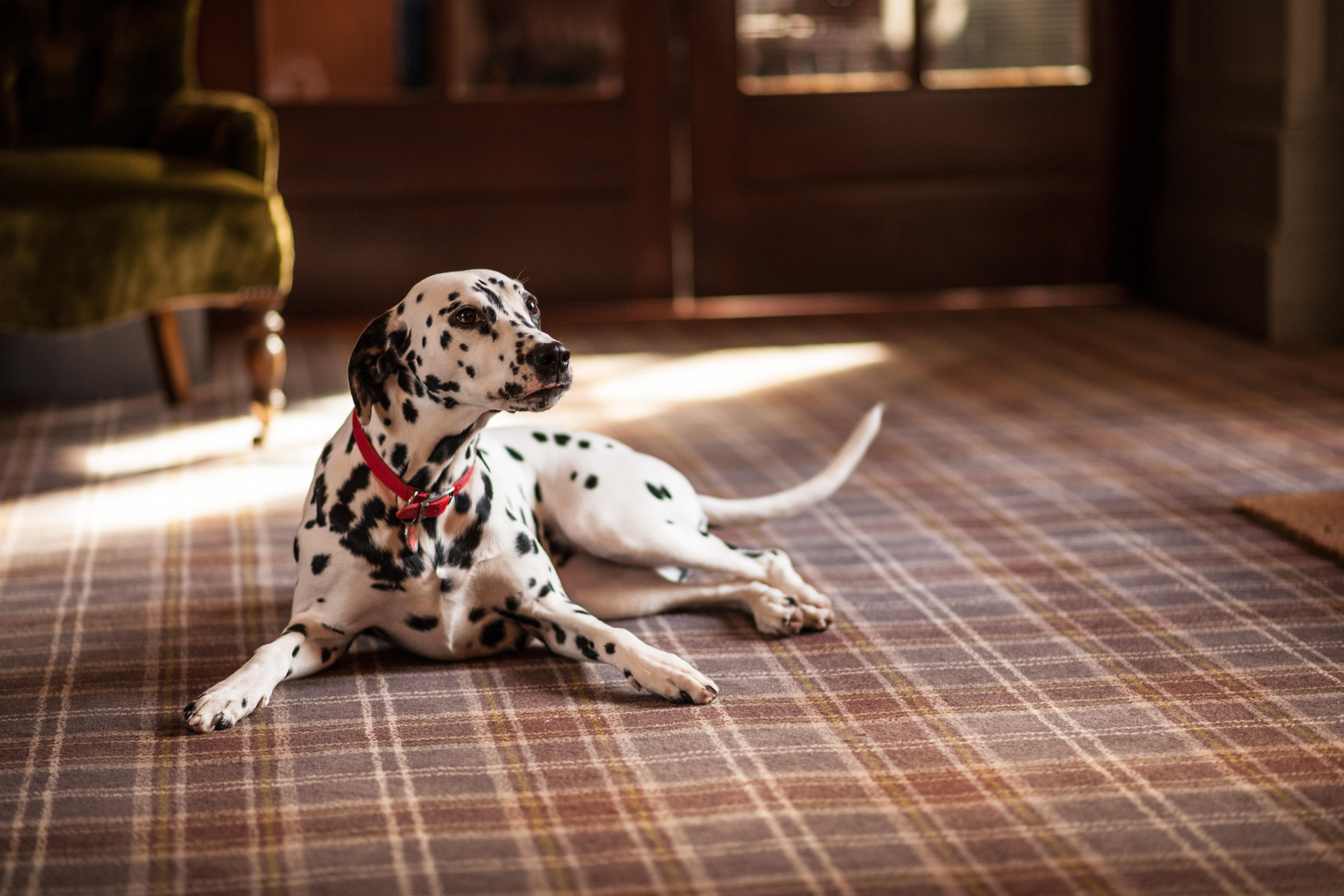 Balmoral Arms Hotell Ballater Eksteriør bilde